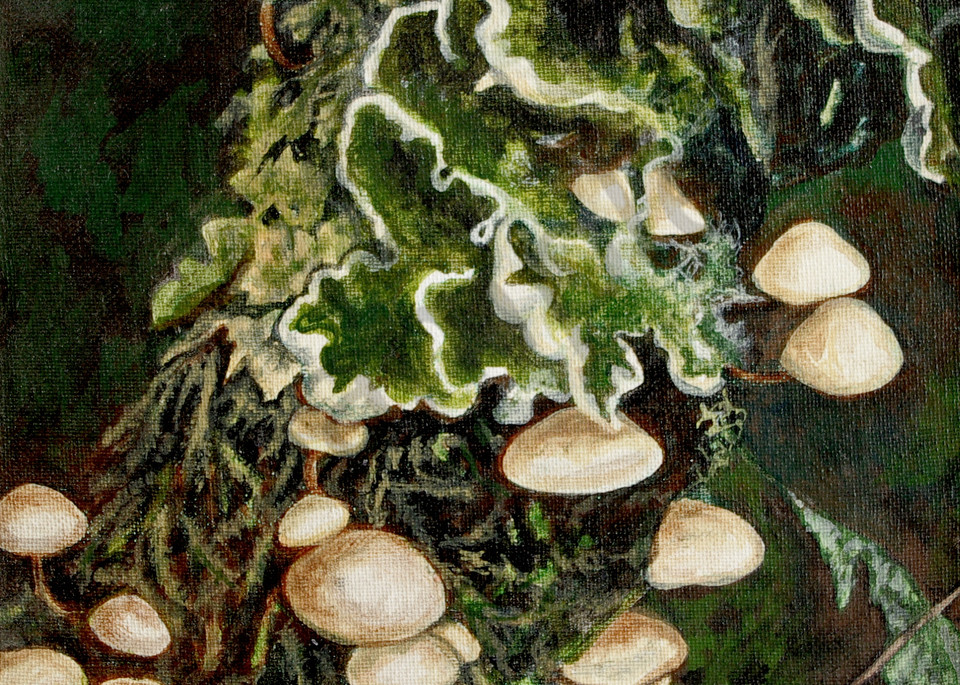 The  Fungus - Teresa Young