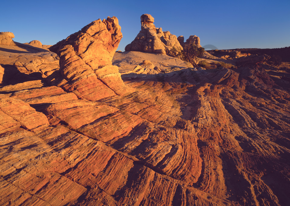  Navajo Sandstone in the Paria Wilderness, Arizona