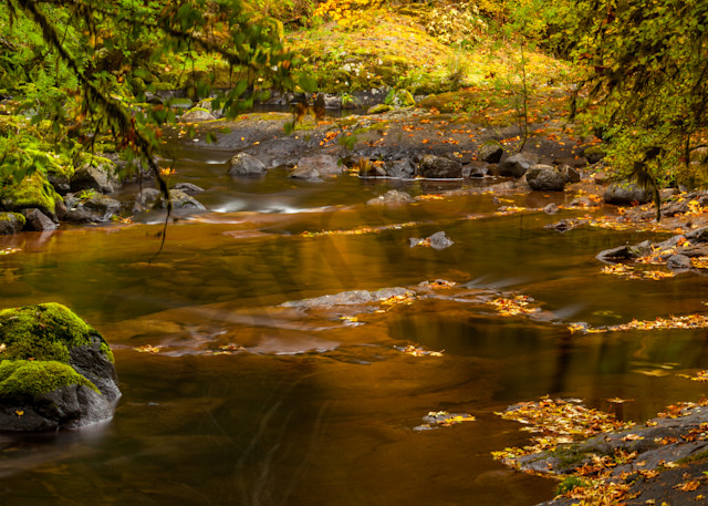 Sweet Creek: Fine Art Photography - by Curt Peters