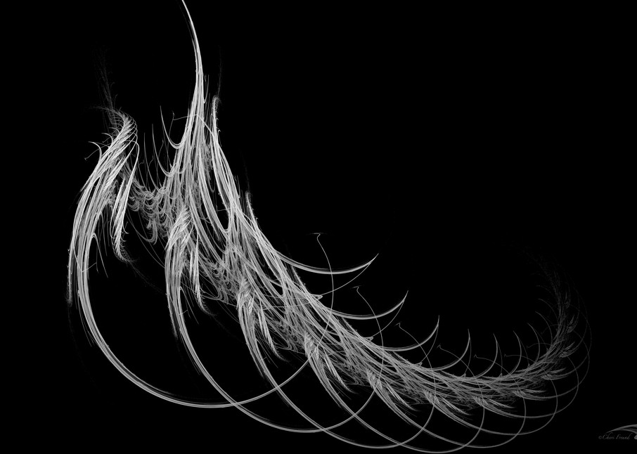 Spine-Less digital skeleton leaf art by Cheri Freund
