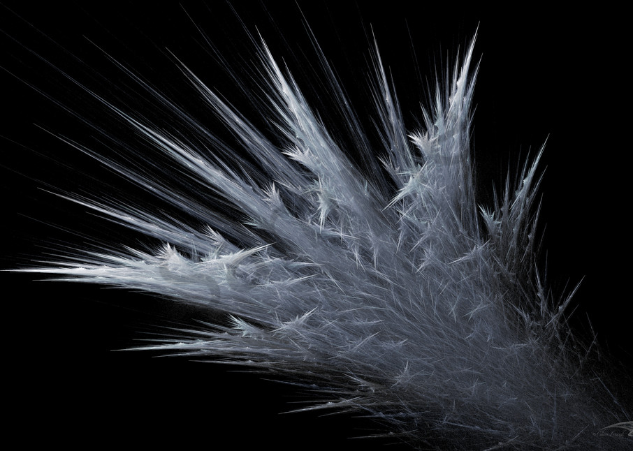 Frozen Burst frost digital art by Cheri Freund