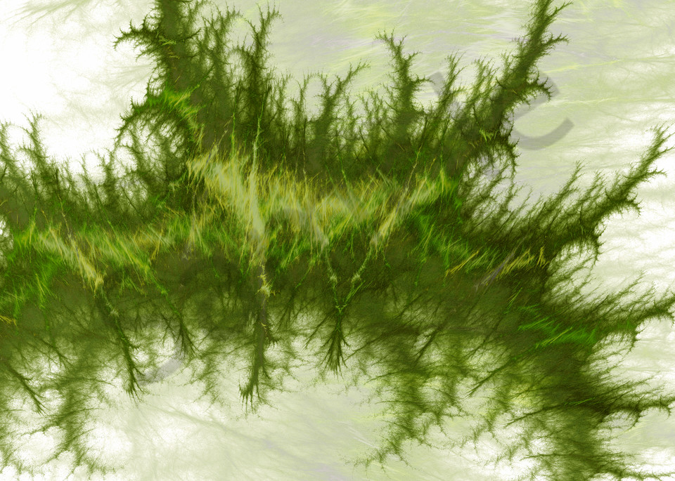 Sea Plant seaweed digital art by Cheri Freund