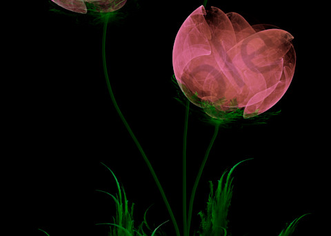 Paper Flowers digital art by Cheri Freund
