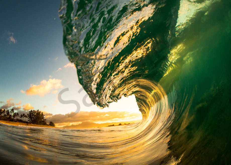 Wave Photography | North Shore Curl by Jaysen Patao