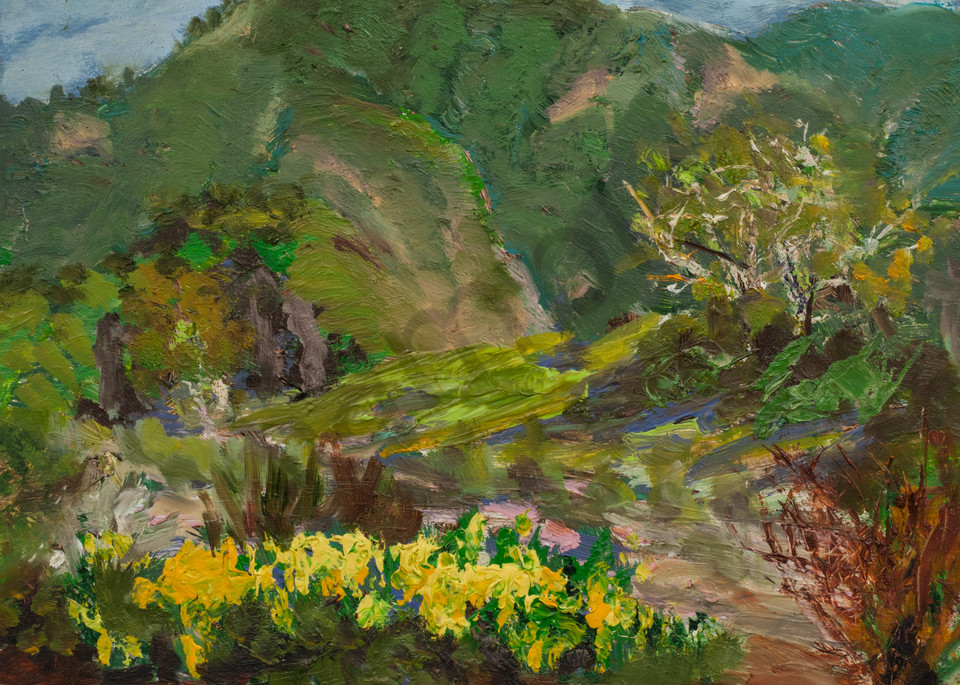 Eaton Canyon Daisies Oil Painting by Mark Hafeman