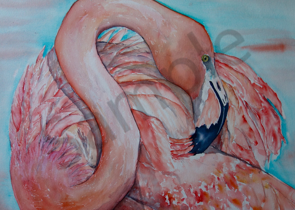 Floyd The Flamingo Art | Amy Tigner Art