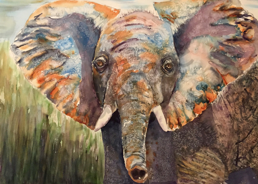 Ambose the Elephant