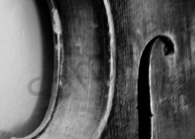Black & white abstract and macro photograph of a violin body, for sale as fine art by Sage & Balm