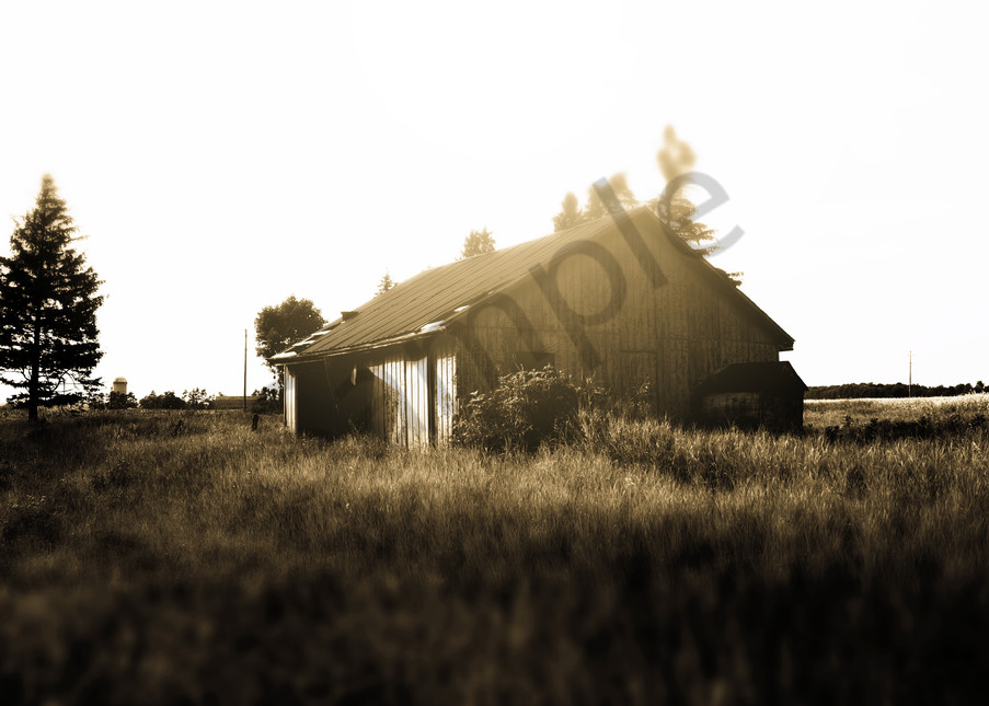 Black & white tilt-shift, rural decay photograph of an abandoned barn or shed in rural Ontario, for sale as fine art by Sage & Balm