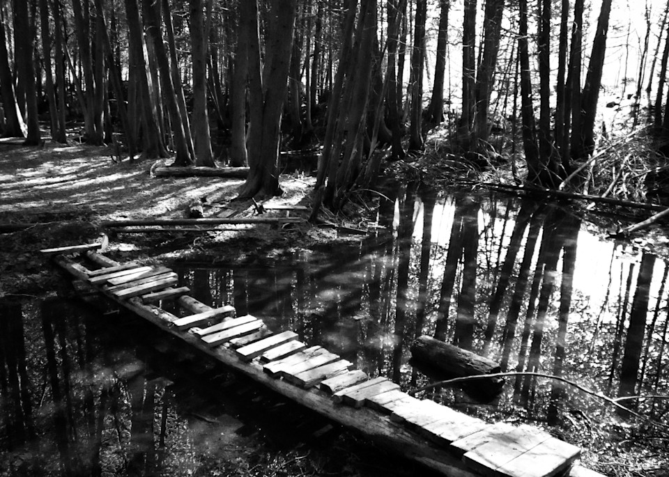 Black & white woodland photograph of a footbridge over water in an Ontario forest, for sale as fine art by Sage & Balm
