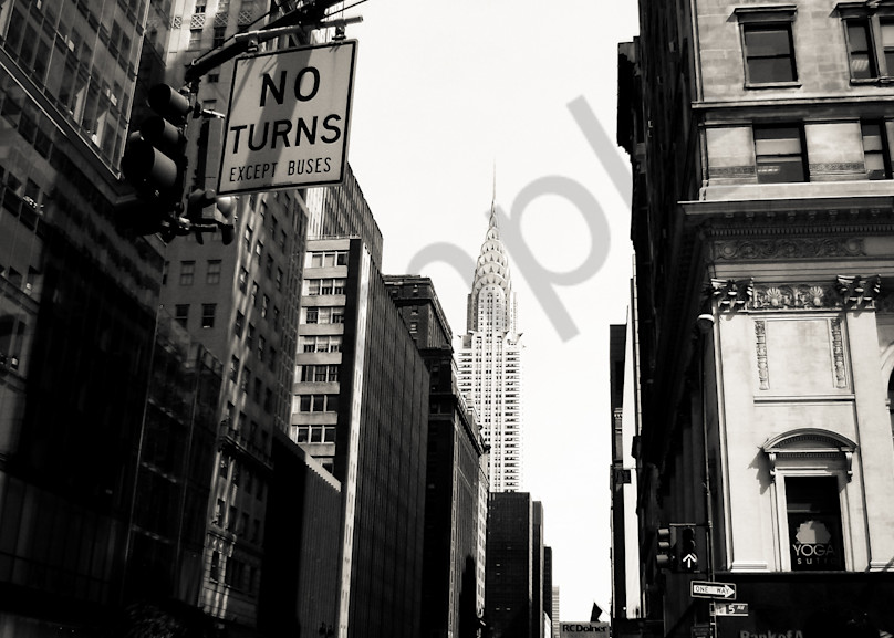 Empire State Photography Art | Sage & Balm Photography