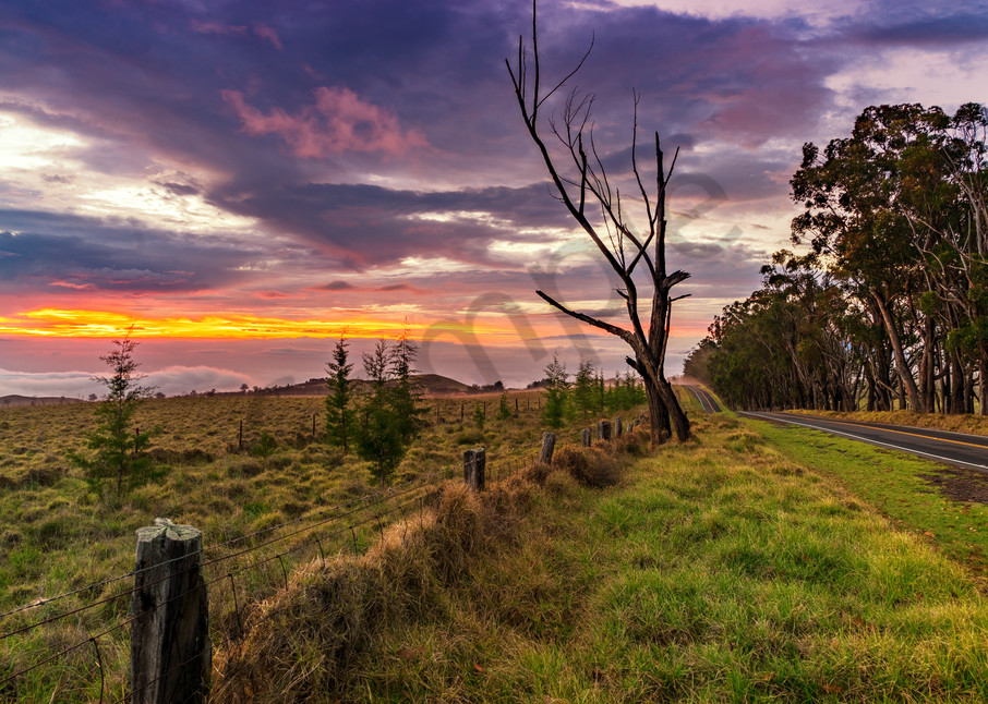 Big Island Photography | Old Saddle Road by Peter Tang