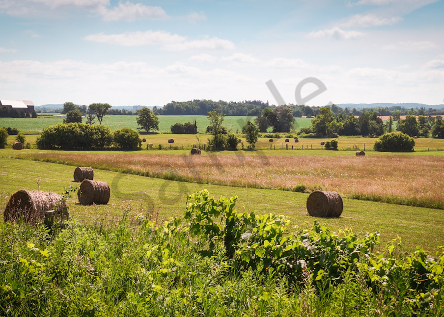 Rural and country landscape photograph of bales of hay in a farmer's field for sale as fine art by Sage  & Balm