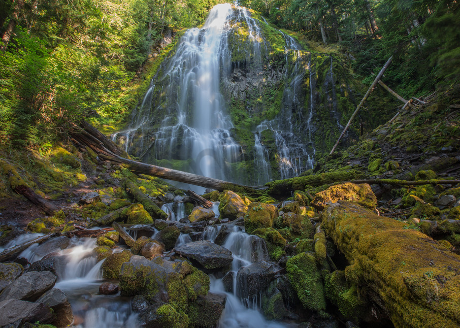 Stunning Proxy Falls Waterfall Photo for Sale: Barb Gonzalez Photography