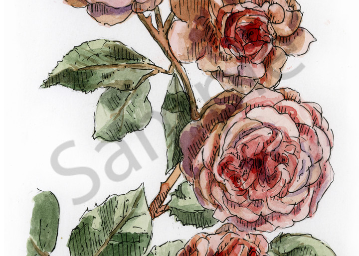 June   Rose Art | Geoffrey Butz Art & Design Inc