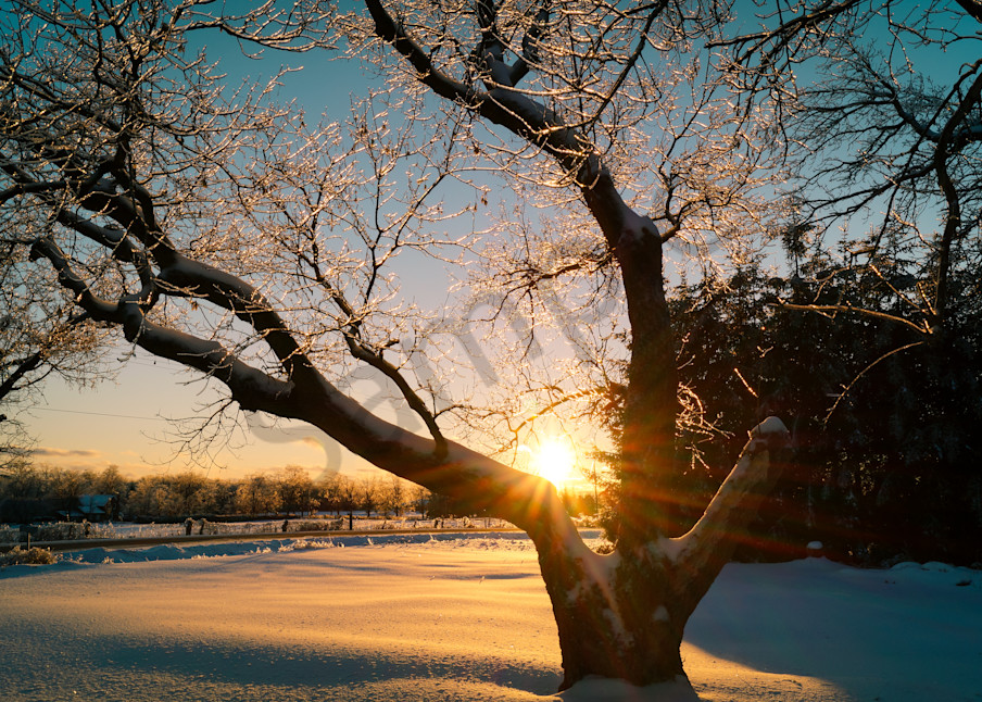 Winter Sunset Photography Art | Sage & Balm Photography