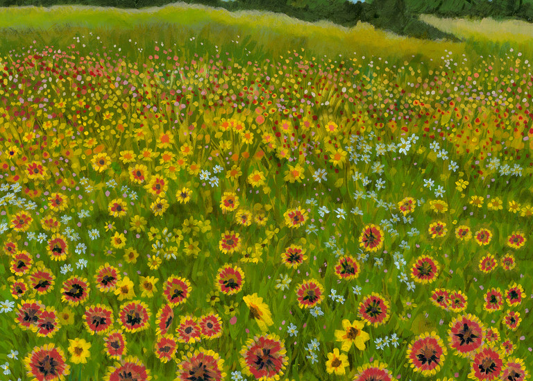 Original painting of a field of Indian Blanket wildflowers for sale as art prints.