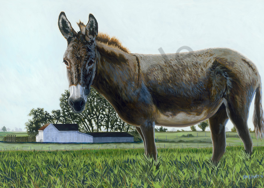 Donkey paintings by John R. Lowery,  for purchase as art prints.