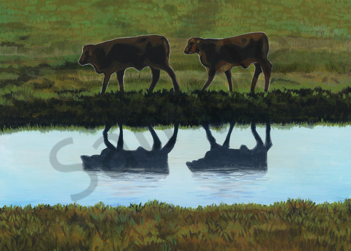 Painting of cow images reflected in a Texas pond, for sale as art prints.