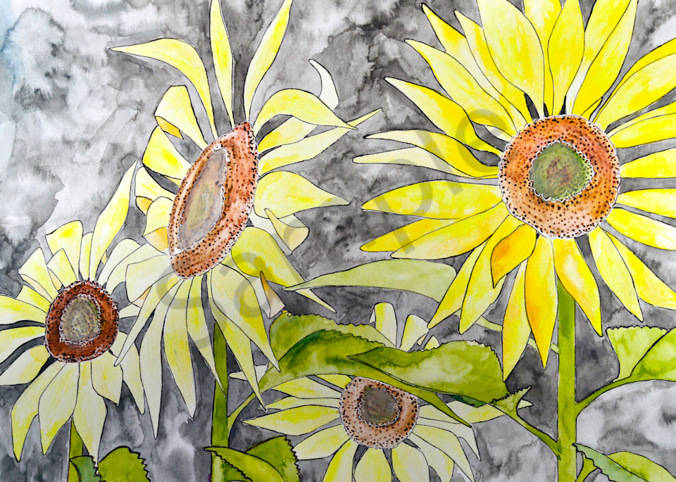Sunflower Art | The Soap Gallery
