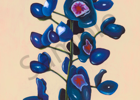 Original painting of a Texas bluebonnet flower for sale as art prints.