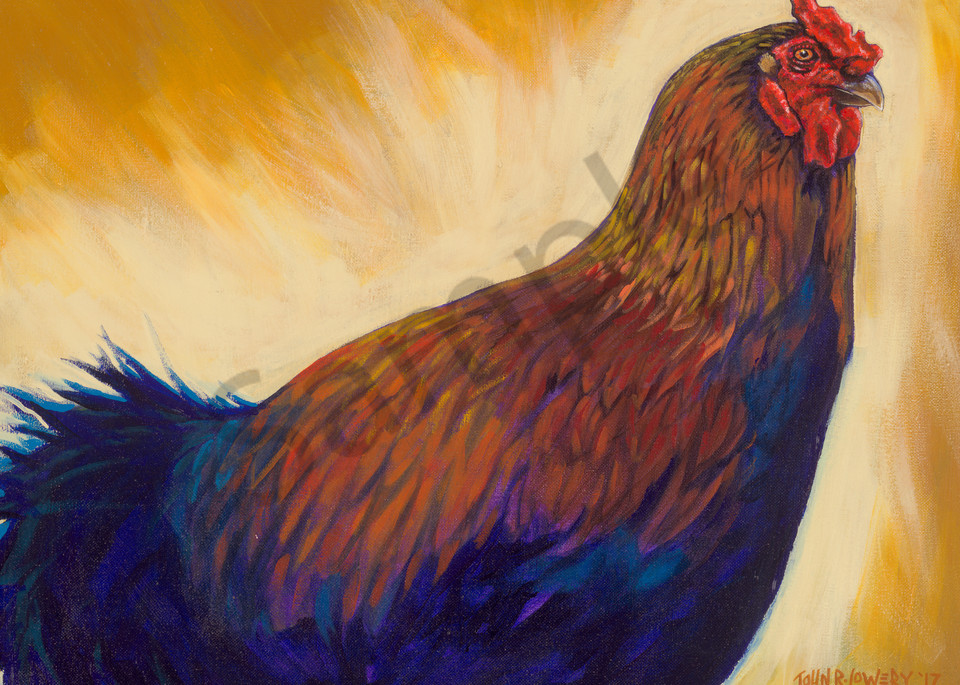 Rooster paintings by Texas based artist, John R. Lowery - available as art prints.