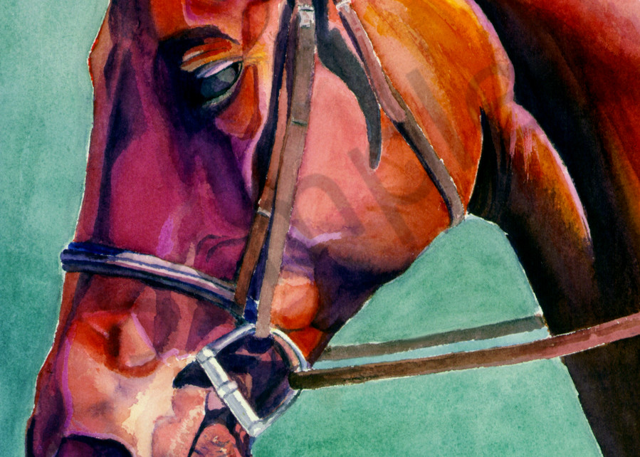 horse painting, watercolor, bridled, horse by Susan Kraft