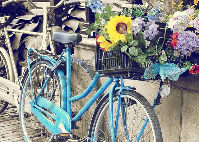 Blue bicycle with a wildflower basket photograph by Ivy Ho for sale as fine art.