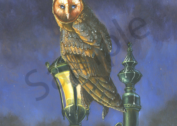 Barn Owl sitting perched on Light print