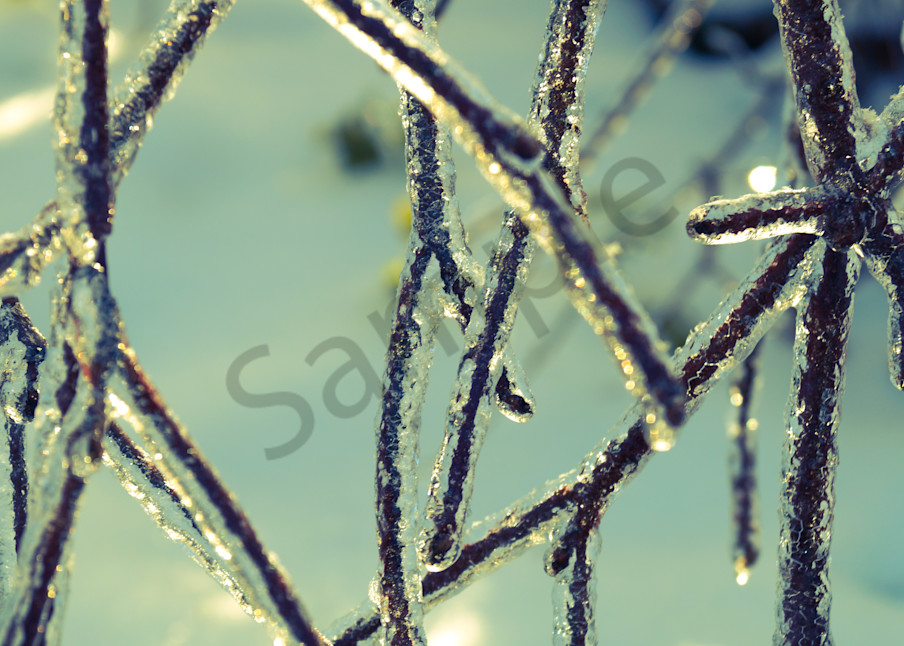 Shop ice and winterscape fine art photographs | Sage & Balm Photography