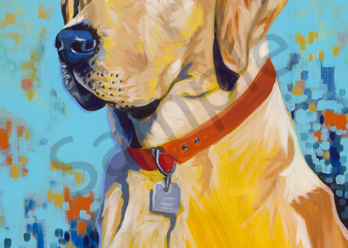 Colorful, modern original painting of a labrador retriever dog, for sale as art prints.
