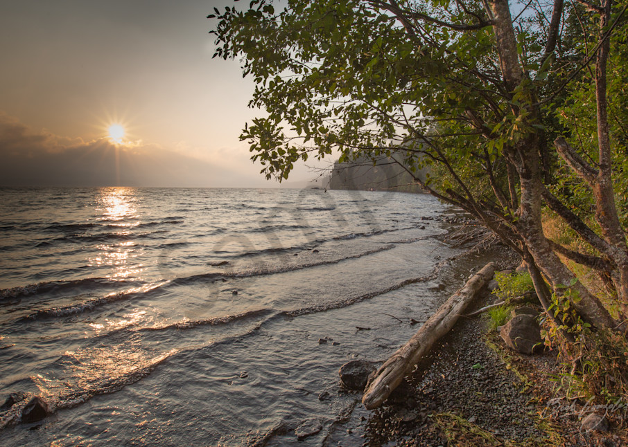 Golden shoreline over lake photo for sale |Barb Gonzalez Photography
