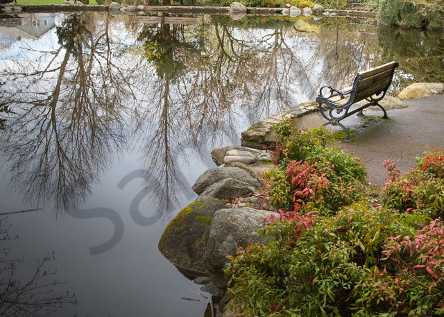 Peaceful bench and pond photo for sale |Barb Gonzalez Photography