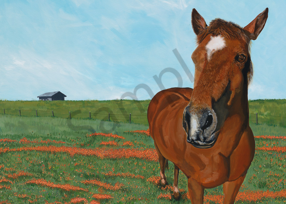 Horse paintings by Texas based artist, John R. Lowery for sale as art prints