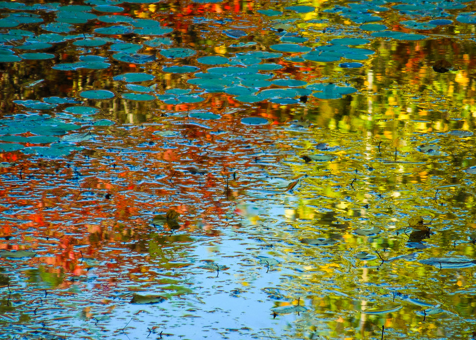 Colored Reflections