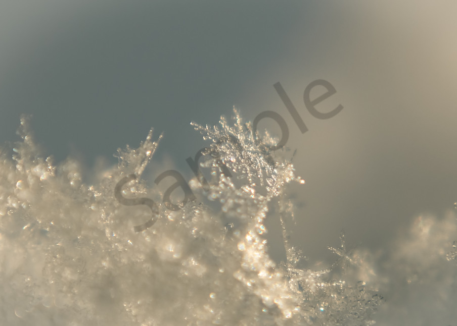 Snowflake Photography Art | Sage & Balm Photography