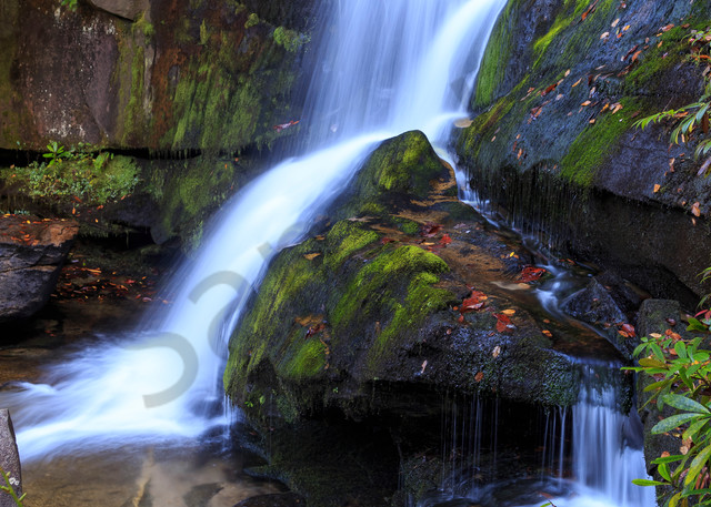 Waterfall Wall Art: Sinuous Cedar Rock Falls