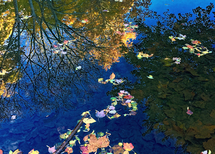 Autumn Pond Reflection|Fine Art Photography by Todd Breitling|Landscape Photography|Todd Breitling Art|