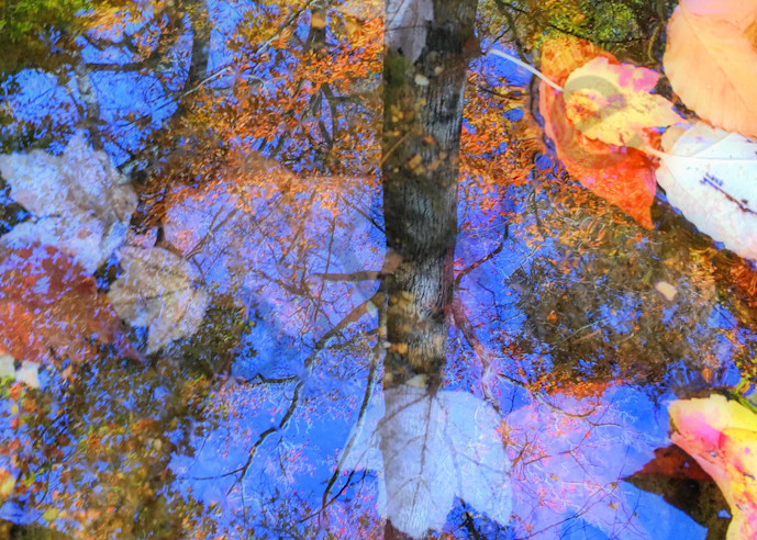 Autumn Watermark|Fine Art Photography by Todd Breitling|Landscape Photography|Todd Breitling Art|