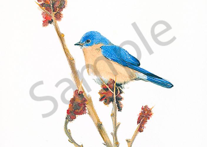 Bluebird #2 Art | Digital Arts Studio / Fine Art Marketplace