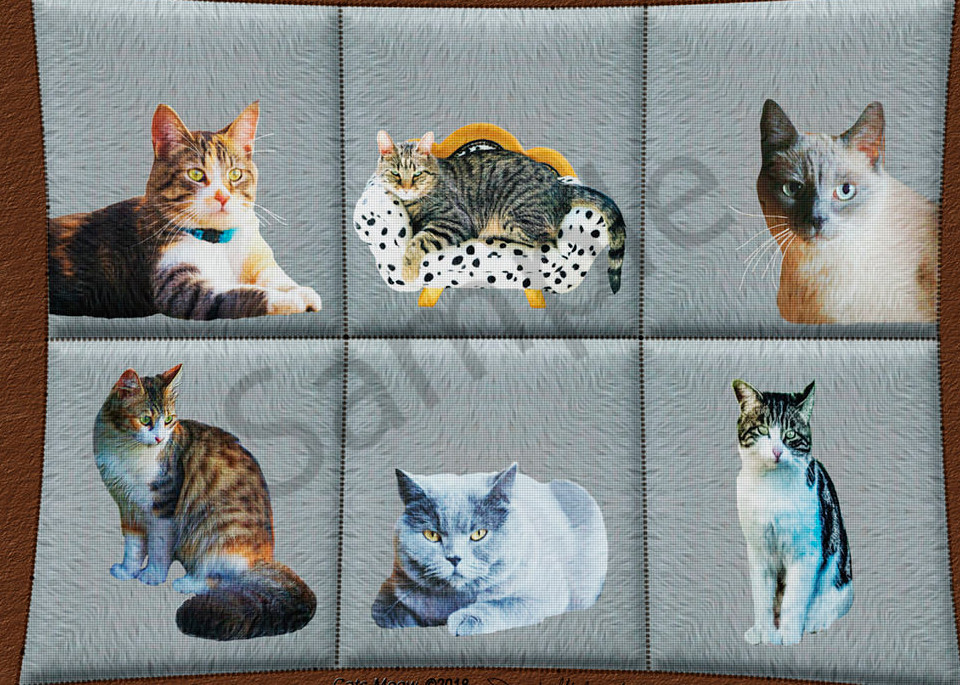 Cat Art Print - The Gallery Wrap Store