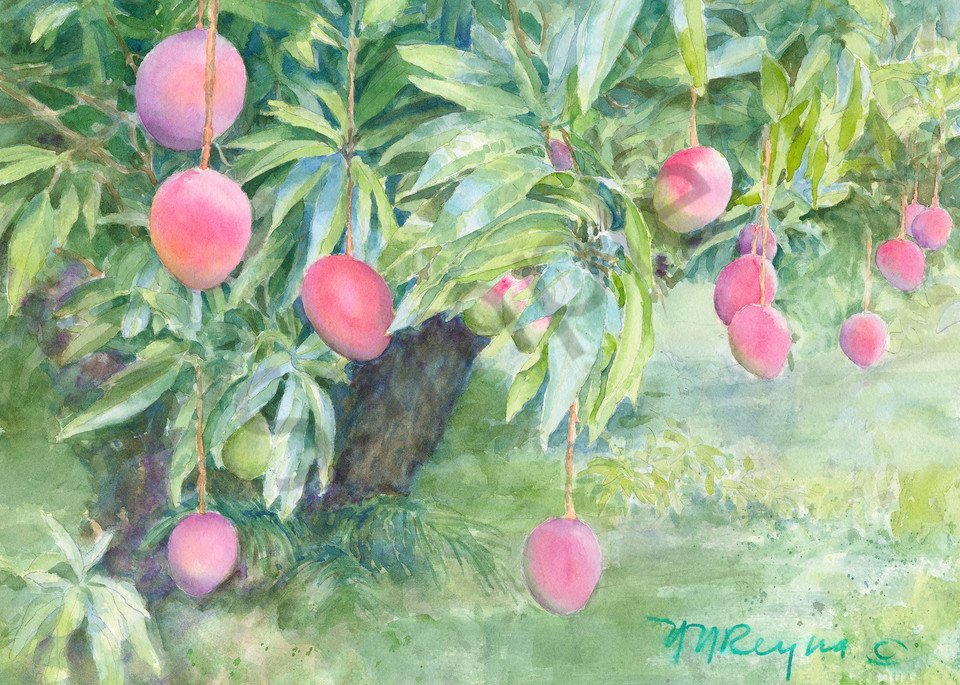 Mucho Mango Art for Sale