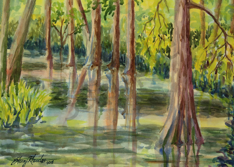 Water Painting Fine Art Prints, Louisiana Landscape Paintings