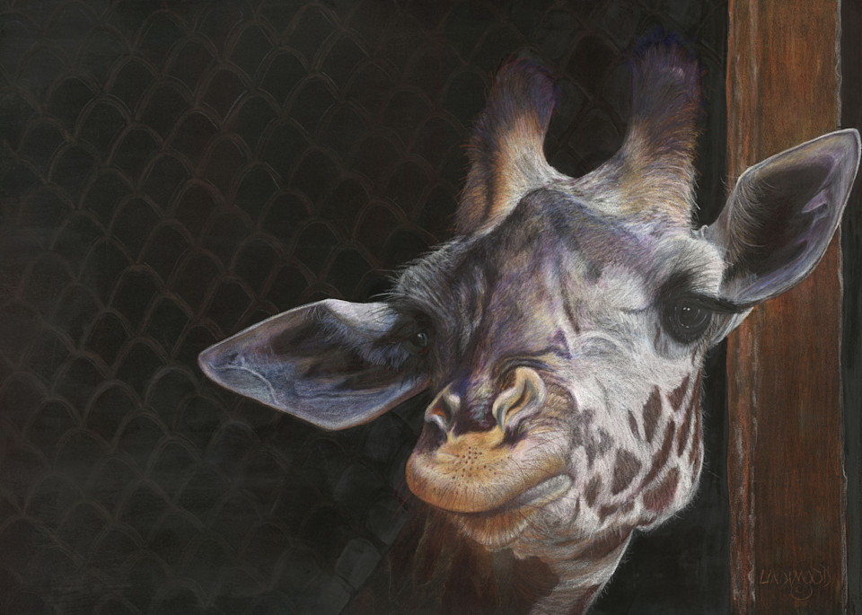 Giraffe In A Box Art | Lindamood Art