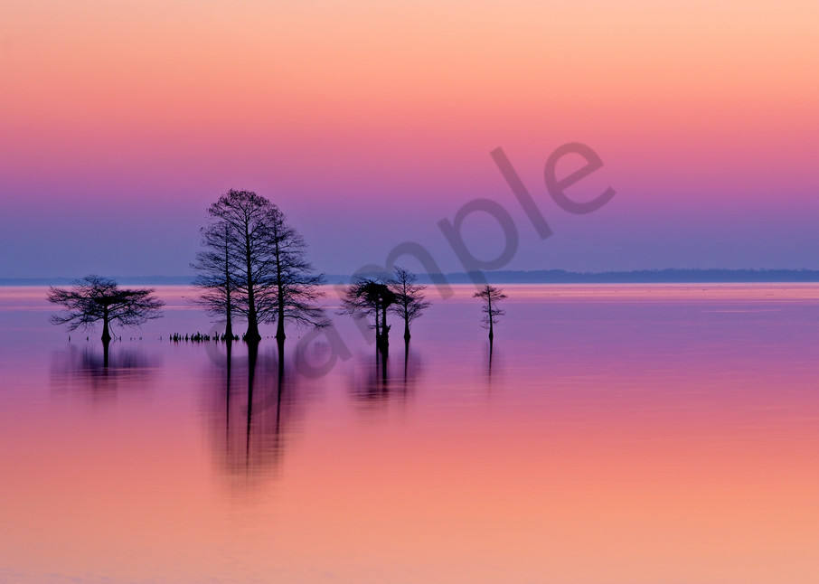 Lake Mattamuskeet NC | Robbie George Photography