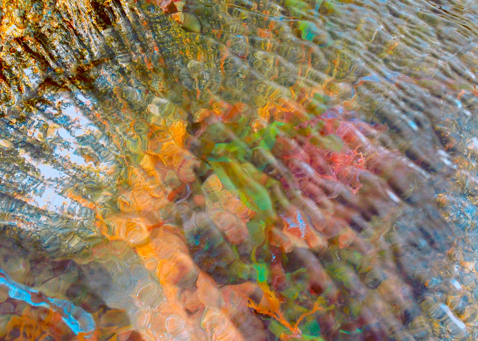 Tidal Pool and CoralFine Art Photography by Todd Breitling