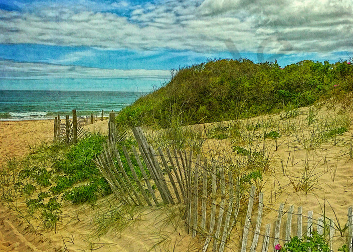 Fence in the Dunes|Fine Art Photography by Todd Breitling
