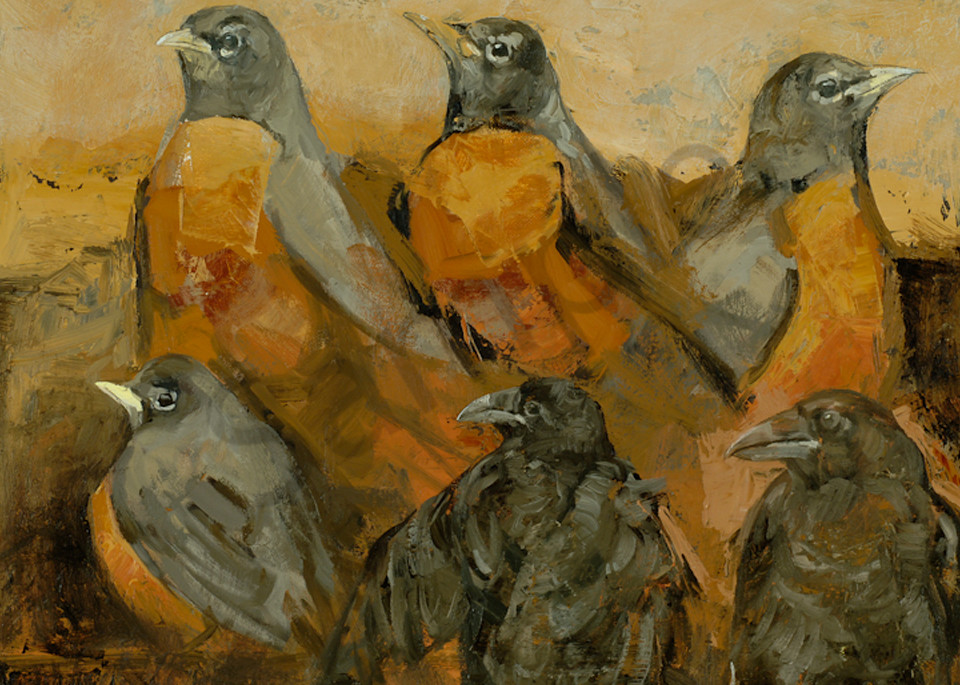 Robins And Fledgling Ravens Art | Mary Roberson