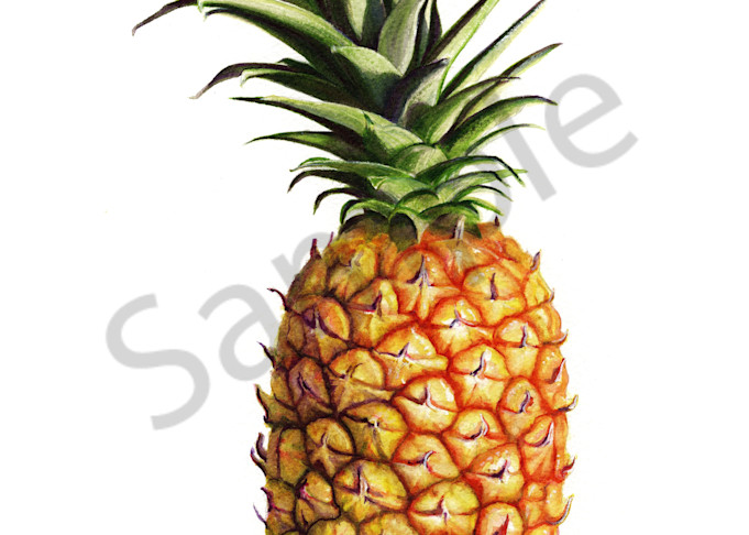 PineApple art for your home or office.