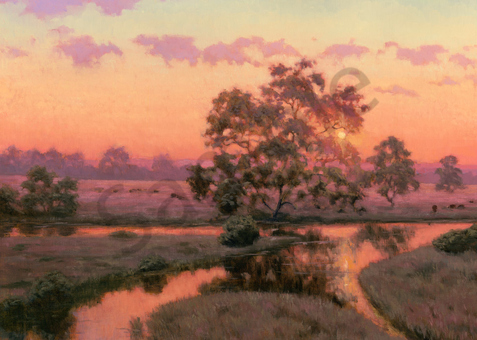Northern California Wetland Sunset